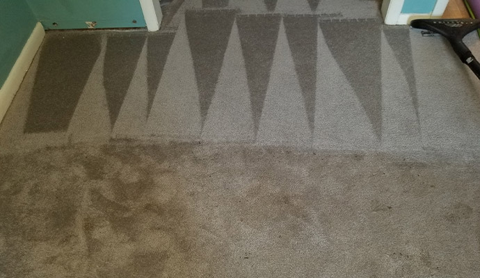 Specialized Allergy Cleaning Services