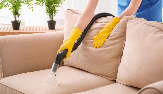 Professional upholstery cleaning